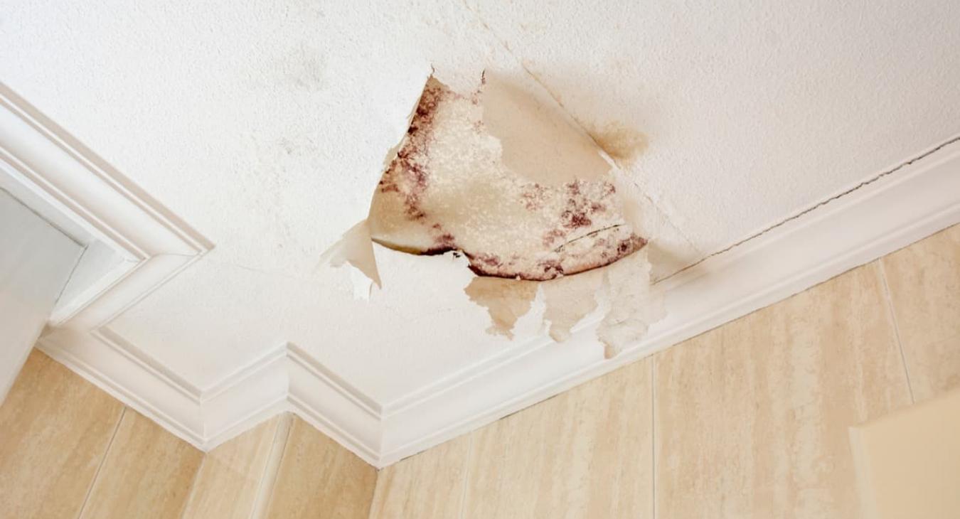 Étanchéité de toiture & Recherche de fuites 61 Orne