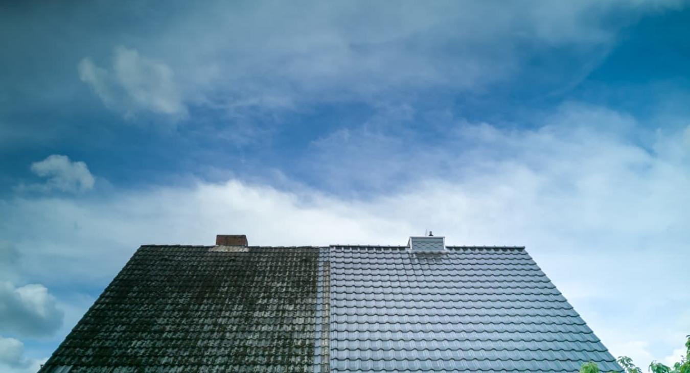 Nettoyage & Démoussage de toiture 61 Orne